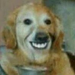 díky lidi z twitche ♥