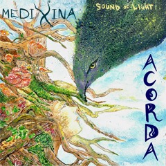 Acorda (Sol Band Groove)