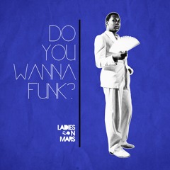 Do You Wanna Funk?