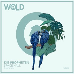 DIE PROPHETEN - Space Hall (Original Mix)