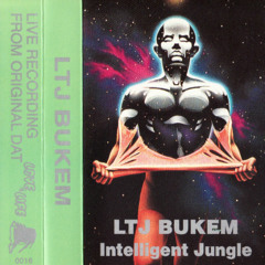 LTJ Bukem - Love Of Life 'Intelligent Jungle' - 1996