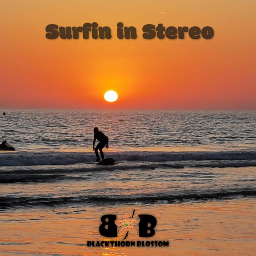 Surfin in Stereo