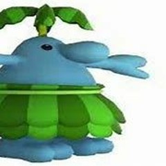 Sunday 27 do Dodo Dodo