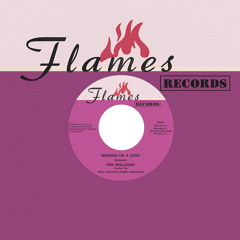Wishing on a Star (Dub Version)