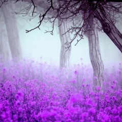 America Amplified epic background music FREE DOWNLOAD