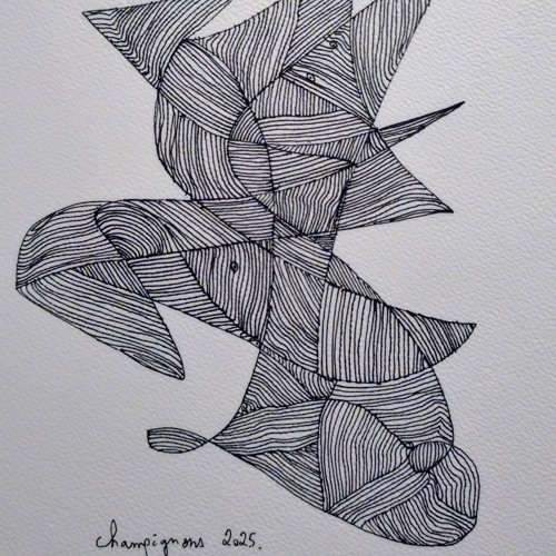 Champignons - 月 Tsuki
