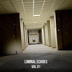 Liminal Echoes Vol.01 - How Many Years?