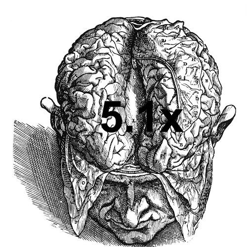 5.1x