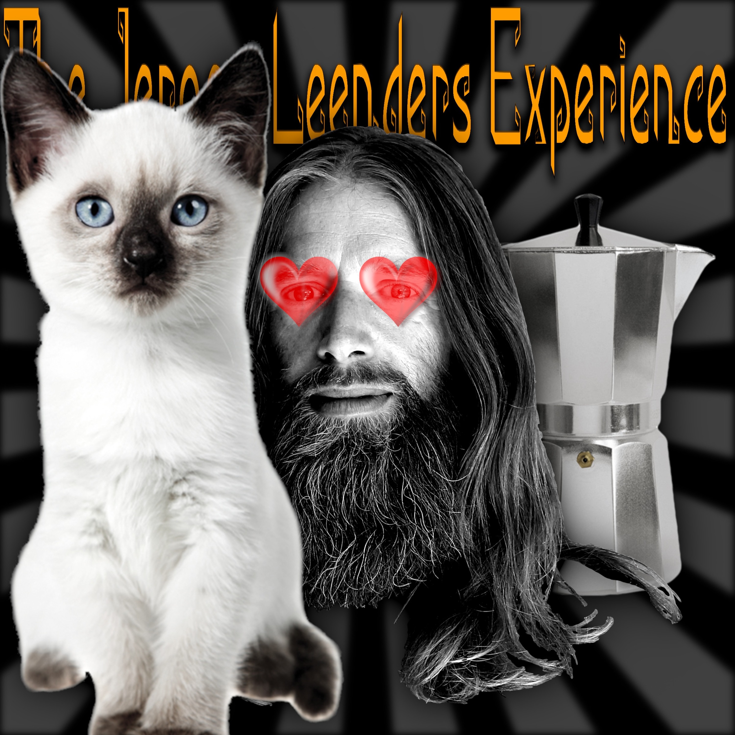 Jeroen Leenders Experience