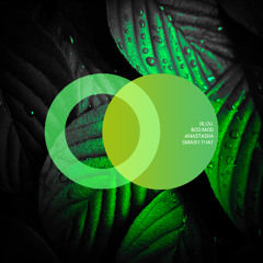 blou., bod:mod, ANASTASiiA - Smash That (Original Mix)