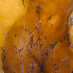 Pussy Fathom (Prod. GMRY)