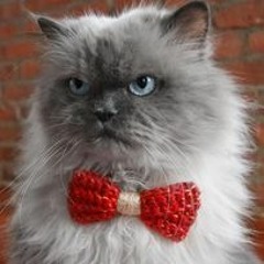 floof - not for listening