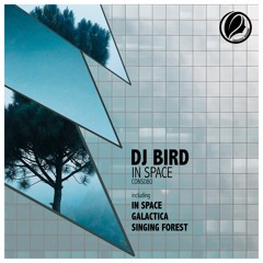 Dj Bird - In Space [Consapevole Recordings]