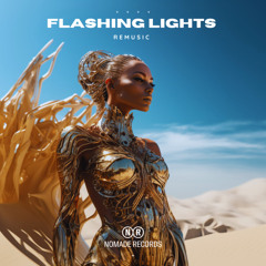 Flashing Lights (Radio Edit)