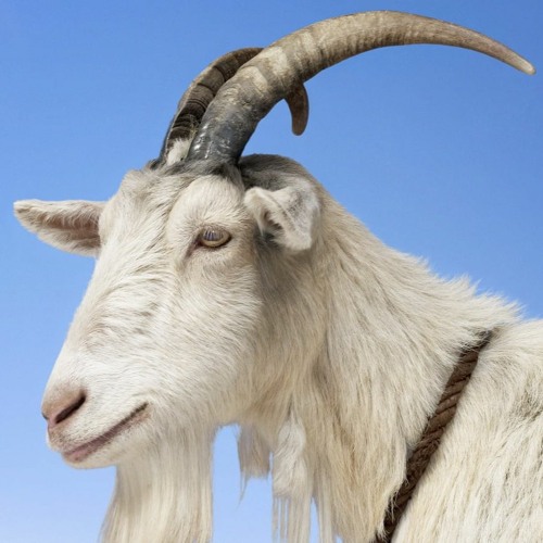 PP Cypher (Prod.19Racks)