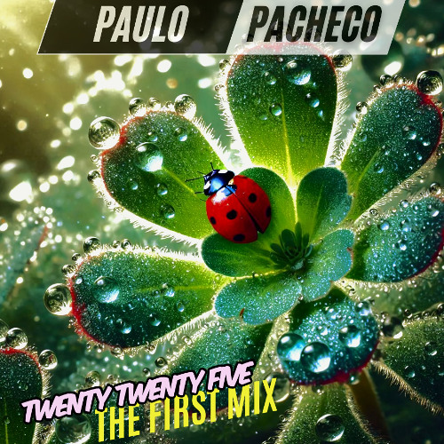 TWENTY TWENTY FIVE (PACHECO DJ MIX)