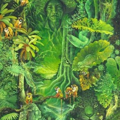 Gota d'água de Amanaci que ecoa na Caverna turva da Mata branca verde escura