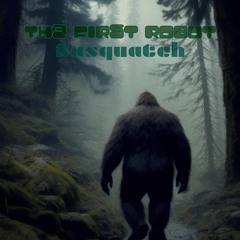 Th3 Fir5t Robot - Sasquatch (teaser)