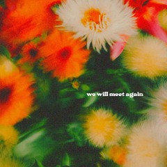 Ptr. - We Will Meet Again