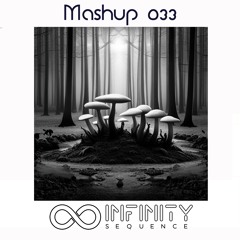 Mashup 033 (Mix with Noosa Sound System - BDTom - Magister K)