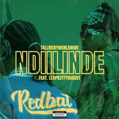 TALLRICKYWORLDWIDE - NDIILINDE FREESTYLE (FEAT.LEOPR3TTYAUGUST)