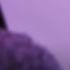 Hanna-Sandra - Poolel Teel (Martinov bootleg)