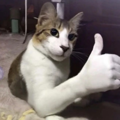 peculiar_mix1