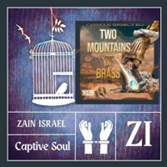 A Captive Soul by Zain Israel (Brianna Zain)