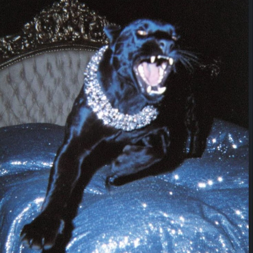 six - STR8 2 HELL open (ssjlamar)