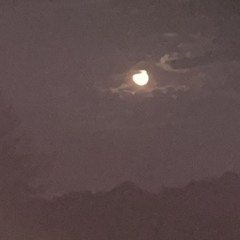 one more night