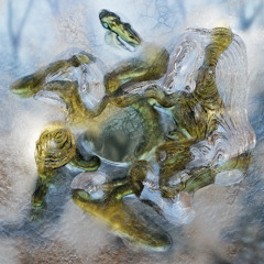 ELCT08 | Portway - Ghost in the Shell II (Previews)