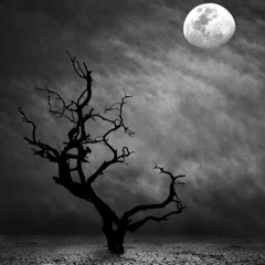 Spawn @ Dark Moon