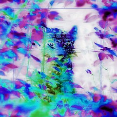 aisatsana (damage angel remix)