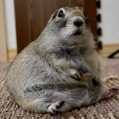 бог заплакал посмотрев в мои глаза