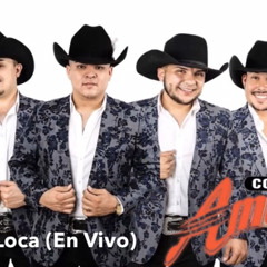 Conjunto Amenaza: La Vaca Loca