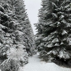 《`☆they call me mr bombastic☆`》