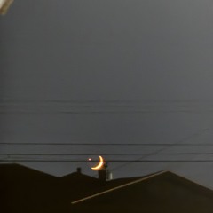 in love (to “Sustain” by Sam Gendel)