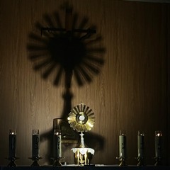 Como Não Me Apaixonar