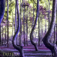 TAFFETA | Part 14