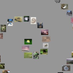 Outsiders: Siren Calls - Summon your inner healer through sound w/ NiXiE @ Kiosk Radio 20.12.2025