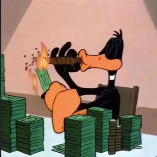 Ducc season