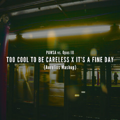 TOO COOL TO BE CARELESS X It's A Fine Day (Aurelios Exclusive Patreon Mashup)