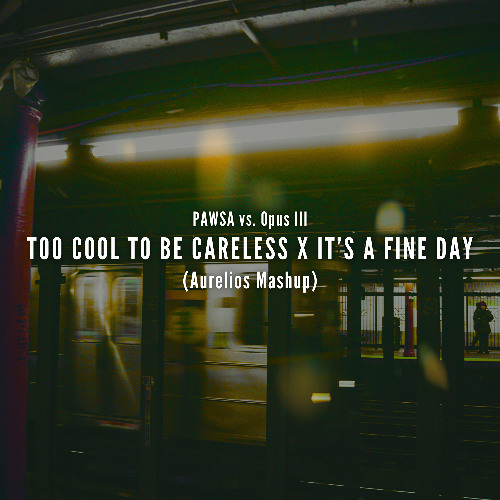 TOO COOL TO BE CARELESS X It's A Fine Day (Aurelios Exclusive Patreon Mashup)