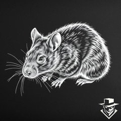 Ratty Behavior