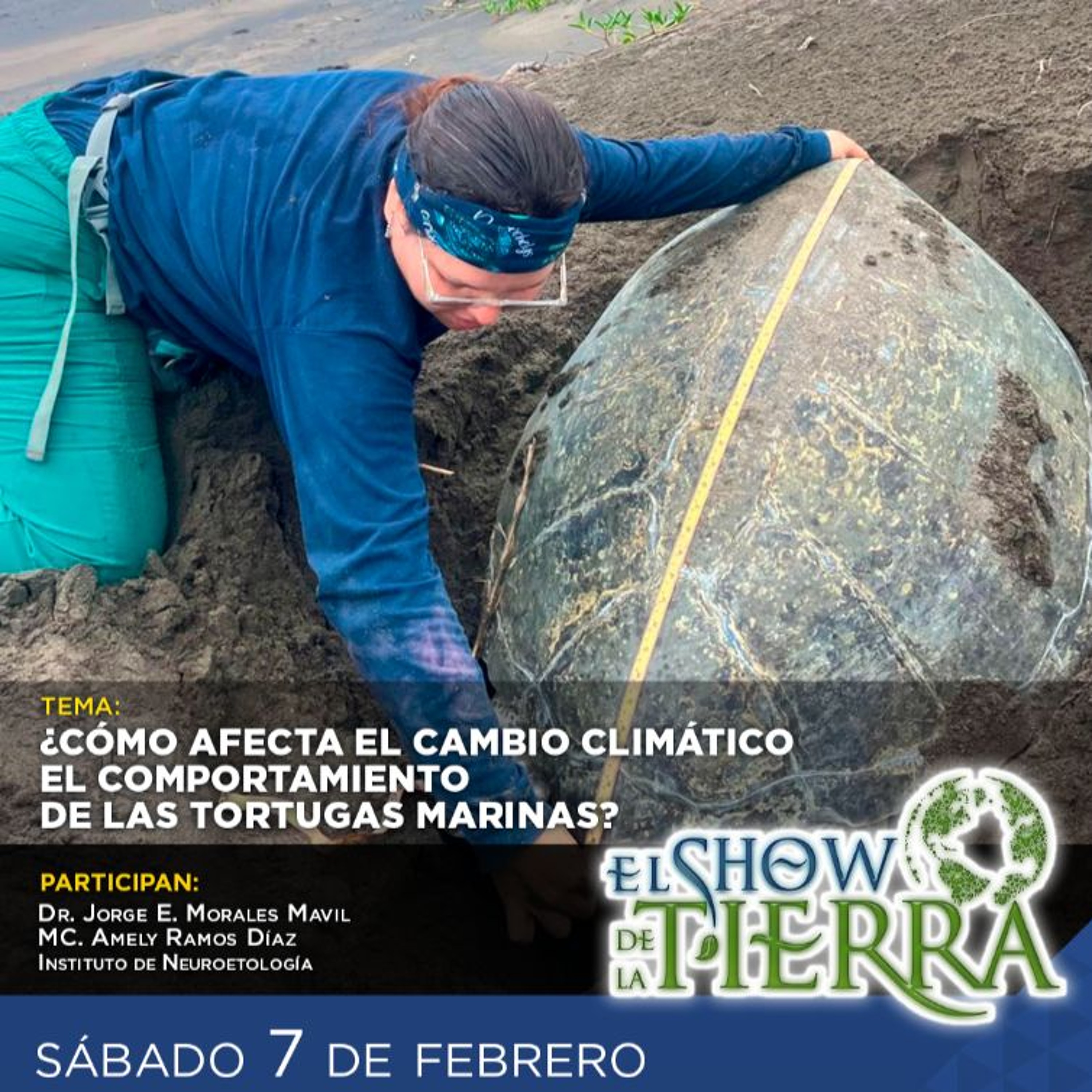 El Show de la Tierra - Tortugas y el Cambio Climático episode artwork