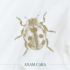 MIXOTAPE ANAM CARA