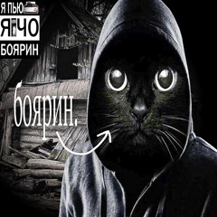Боярин + sneaky (p.k4neswagga,9569)