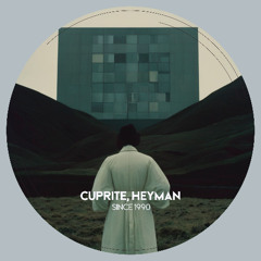 PREMIERE: Cuprite, Heyman - Since 1990 [MOOFLY]