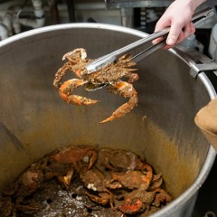 What Where Wednesday on WTMD: Where to eat steamed crabs or buy them to-go in the Baltimore area