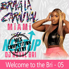 Viva Next UP: Miami - DJ ROYAL BRI